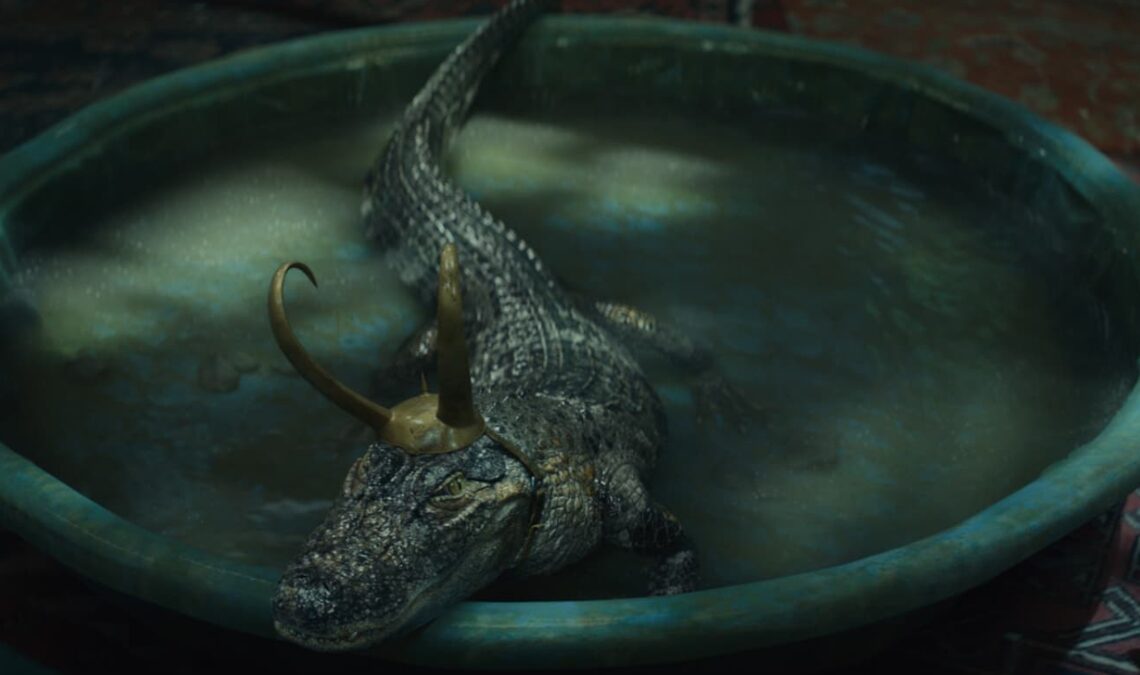 L'alligator de soutien émotionnel qui aurait inspiré "Alligator Loki" disparaît