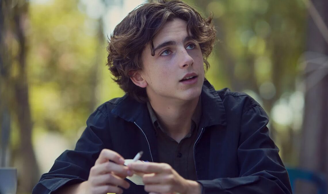 Timothée Chalamet sera le protagoniste d'un nouveau film du réalisateur de Diamonds in the Rough