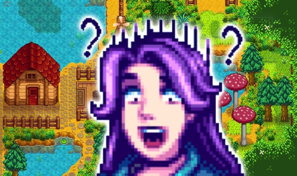 Un joueur de Stardew Valley a trouvé un objet si rare que vous ne l'avez probablement jamais vu auparavant