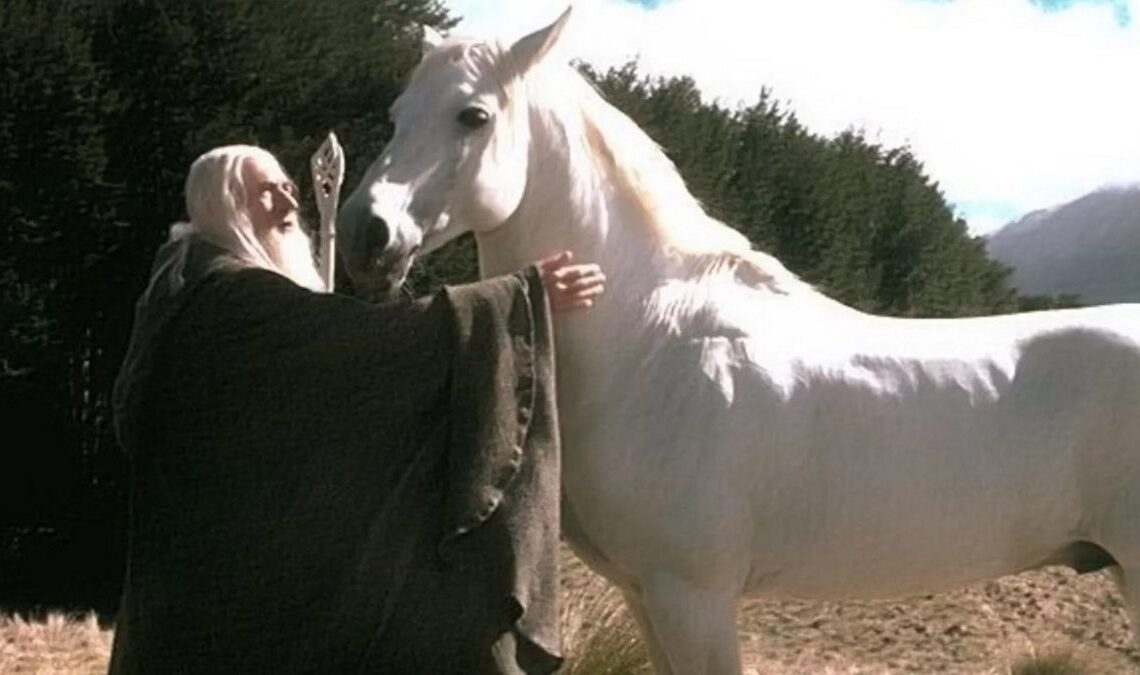 Le Seigneur des Anneaux : L'histoire de Shadowfax, Seigneur de tous les chevaux