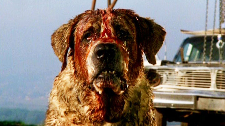 Netflix aime un véritable maître de terreur pour sa prochaine adaptation de Stephen King