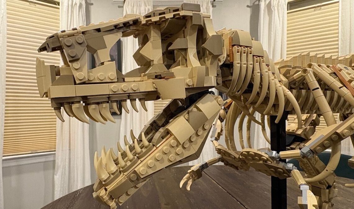 Nous construisons l'ensemble LEGO: Tyrannosaurus Rex, le modèle squelette le plus impressionnant en 68 millions d'années
