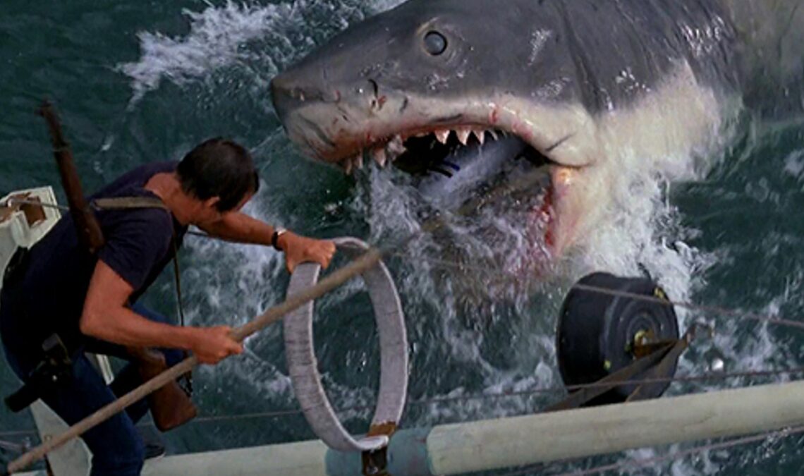 C'est la raison pour laquelle nous verrons sûrement un remake de requin: "N'essayez même pas"