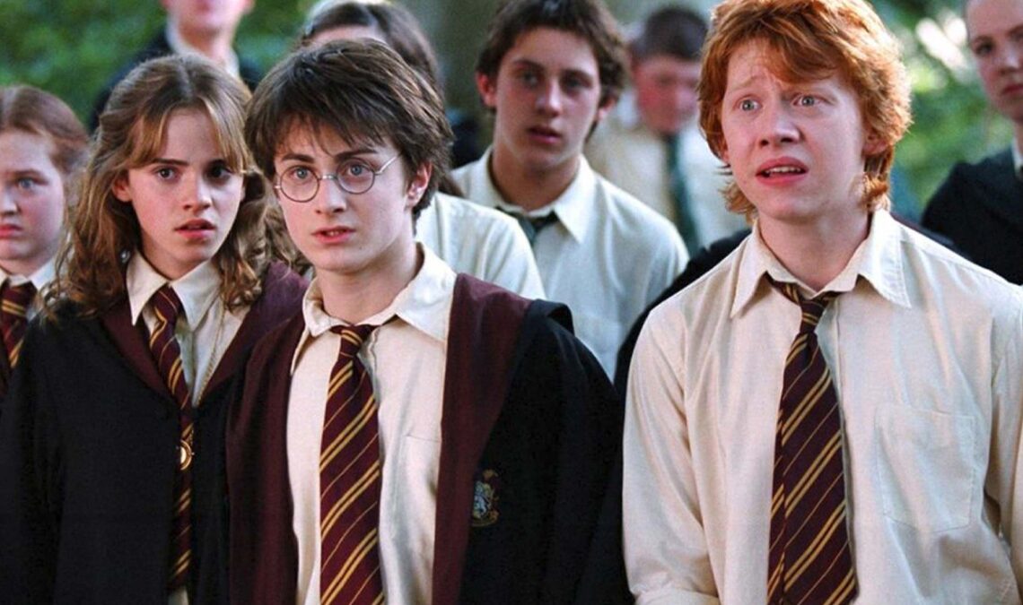 "Très excité, mais aussi très intimidé." L'un des nouveaux visages de Harry Potter répond aux fans les plus réactionnaires