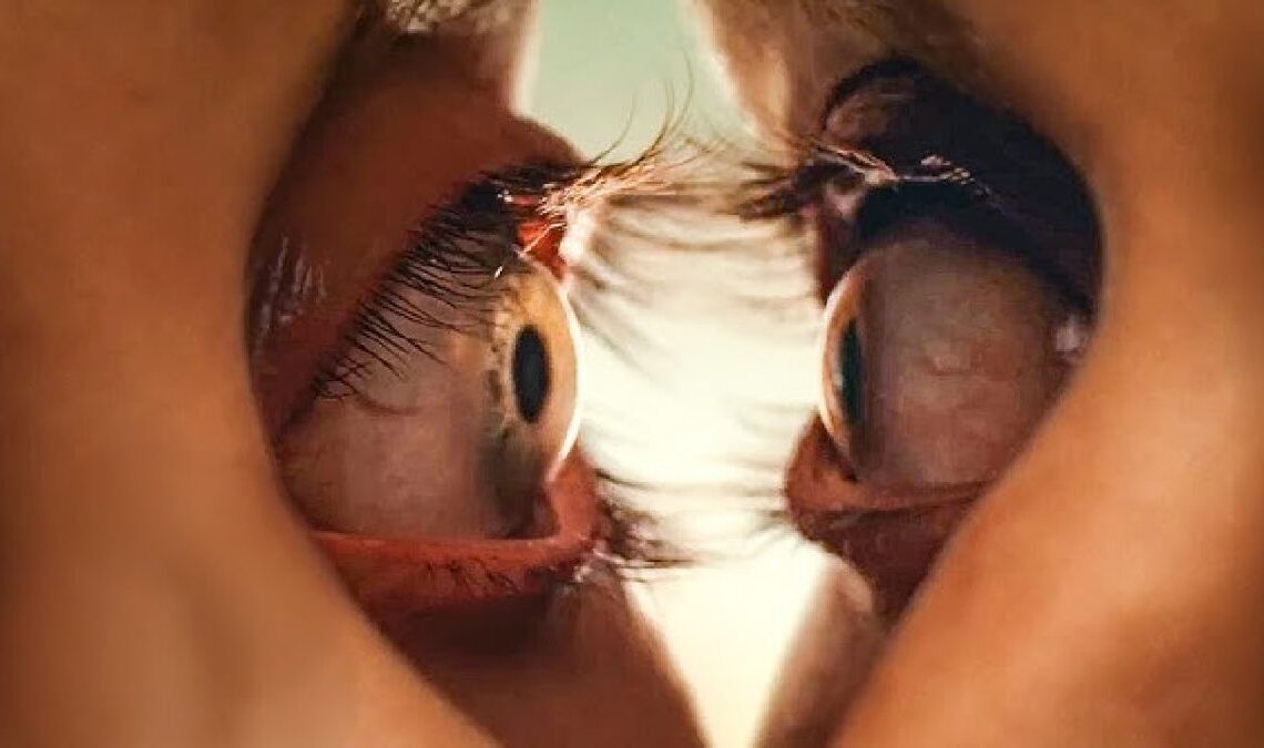 Stephen King n'hésite pas à recommander un film d'horreur qui est passé inaperçu cette année: "Cela fonctionne"