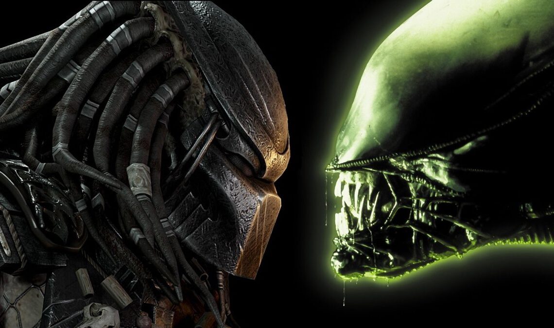 Le directeur de Predator: Badlands vient de briser le cœur d'Alien vs Predator