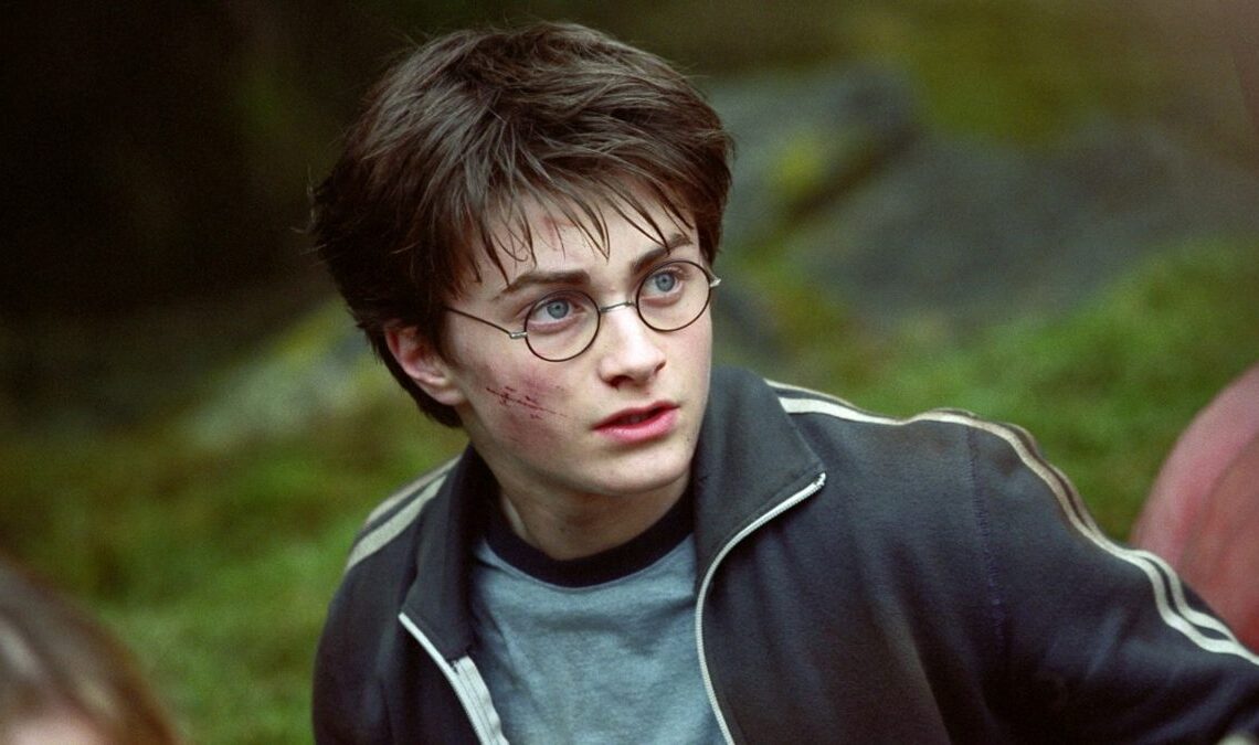 "C'était un gaspillage d'argent absurde" : cet acteur d'Harry Potter a toujours été critique envers les films