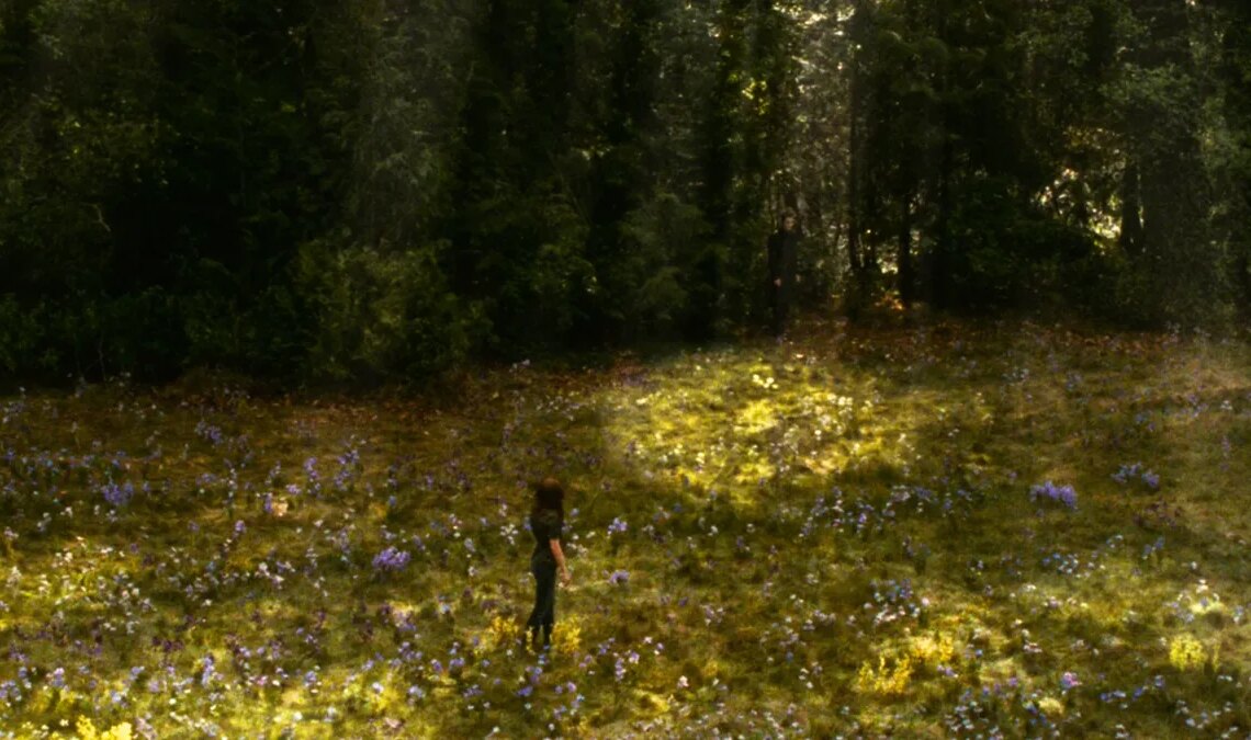 Nous ne sommes plus dans la « saison hoa hoa hoa », mais ce n'est jamais un mauvais moment pour revisiter en streaming la saga qui a fait soupirer le public en 2008.