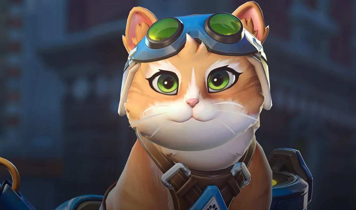 El Chombo avait déjà prévenu, et maintenant ce sont les joueurs d'Overwatch qui subissent le pouvoir du chat volant