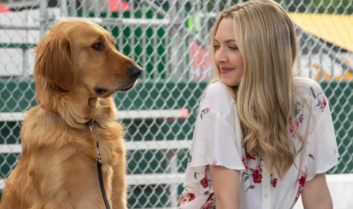 La star du streaming en Espagne est ce très gentil chien. Le film qui raconte son histoire fait vibrer Netflix