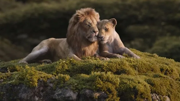 Le remake du Roi Lion n'était qu'un début : Jon Favreau revient miser sur le roi de la savane dans une nouvelle série